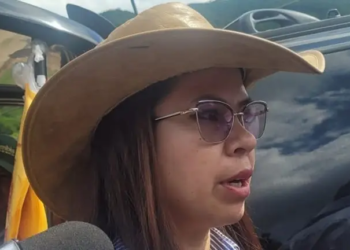 La diputada Diana Romero