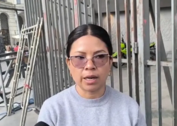 La diputada Diana Romero