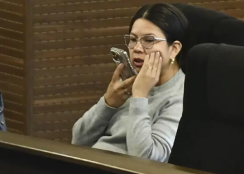 Diputada Diana Romero