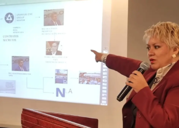 Diputada Patricia Patiño | Foto: Erbol