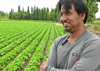Quintín Rojas, productor hortícola de General Roca (Río Negro). Fotos: Juan Thomes.