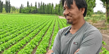 Quintín Rojas, productor hortícola de General Roca (Río Negro). Fotos: Juan Thomes.
