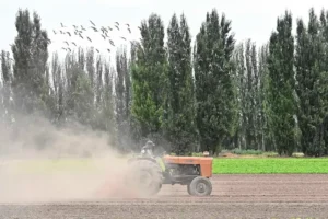Orgullo boliviano que alimenta la Patagonia Argentina