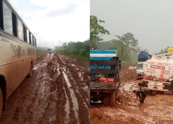 Caminos inundados de lodo