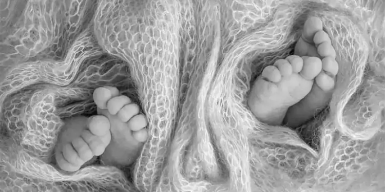 Gemelos: Imagen referencial