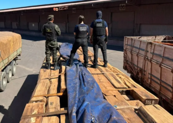 Presunta droga impregnada en madera | Foto: Servicio Federal de Ingresos de Brasil