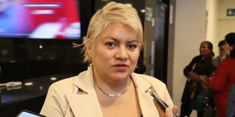 La diputada del Partido Demócrata Cristiano (PDC), Patricia Patiño