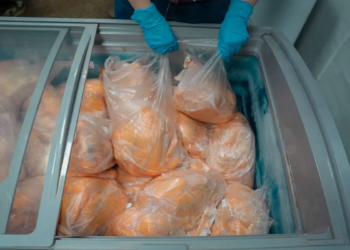 Emapa distribuye pollos a Bs. 18